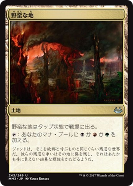 画像1: 【JPN】野蛮な地/Savage Lands[MTG_MM3_243U] (1)