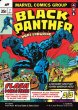 画像2: ★Foil★【ENG】King T’Challa//Black Pancer, Hope Enduring[MTG_MSH_0399_M] (2)