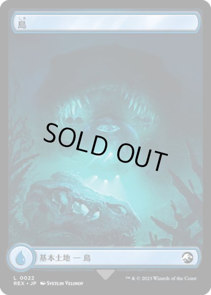 画像2: 【JPN】島/Island[MTG_REX_0022L] (2)
