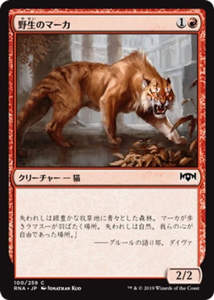画像1: 【JPN】野生のマーカ/Feral Maaka[MTG_RNA_100C] (1)