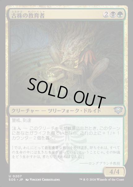 画像1: 【JPN】古株の教育者/Old-Growth Educator[MTG_SOS_0207_U] (1)
