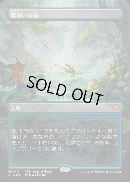 画像1: 【JPN】★Foil★霧深い雨林/Misty Rainforest [MTG_SPG_0116_M] (1)