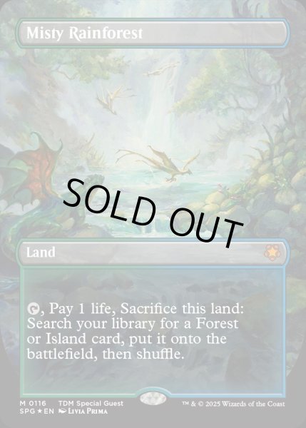 画像1: 【ENG】★Foil★霧深い雨林/Misty Rainforest [MTG_SPG_0116_M] (1)