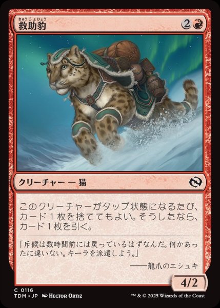 画像1: 【JPN】救助豹/Rescue Leopard[MTG_TDM_0116_C] (1)