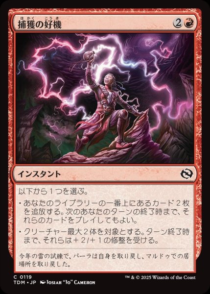 画像1: 【JPN】捕獲の好機/Seize Opportunity [MTG_TDM_0119_C] (1)