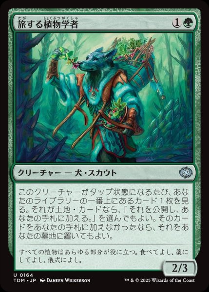 画像1: 【JPN】旅する植物学者/Traveling Botanist [MTG_TDM_0164_U] (1)