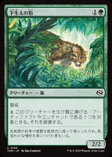画像1: 【JPN】下生えの豹/Undergrowth Leopard [MTG_TDM_0165_C] (1)