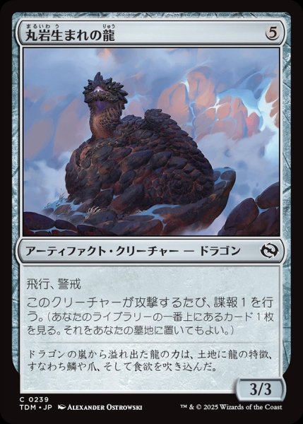 画像1: 【JPN】丸岩生まれの龍/Boulderborn Dragon [MTG_TDM_0239_C] (1)