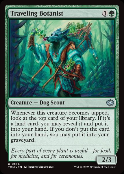 画像1: 【ENG】旅する植物学者/Traveling Botanist [MTG_TDM_0164_U] (1)