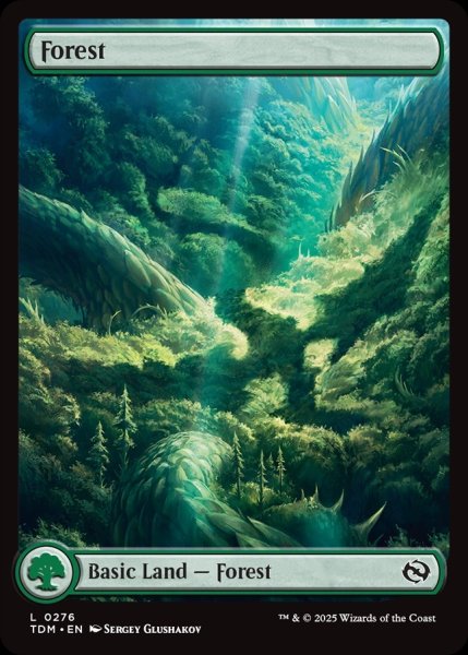 画像1: 【ENG】★Foil★森/Forest[MTG_TDM_0276_C] (1)