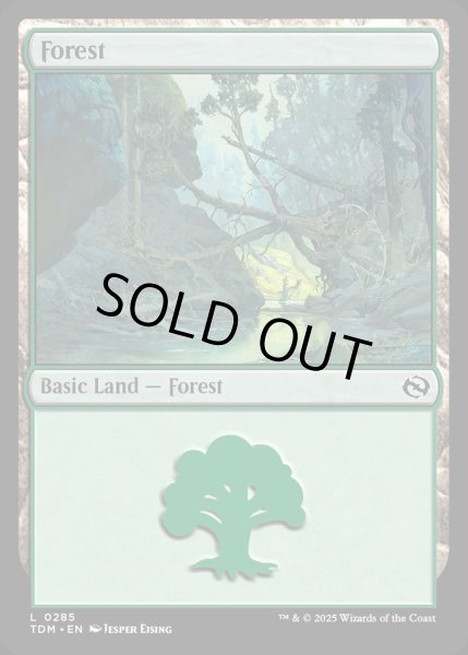 画像1: 【ENG】森/Forest[MTG_TDM_0285_C] (1)