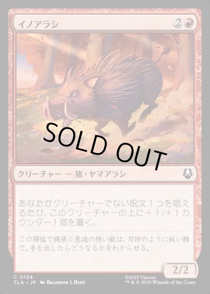 画像1: 【JPN】イノアラシ/Boar-q-pine[MTG_TLA_0124_C] (1)