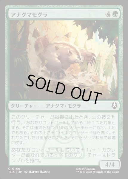 画像1: 【JPN】アナグマモグラ/Badgermole[MTG_TLA_0166_C] (1)