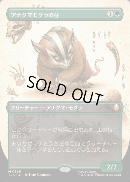 画像1: 【JPN】アナグマモグラの仔/Badgermole Cub[MTG_TLA_0326_M] (1)