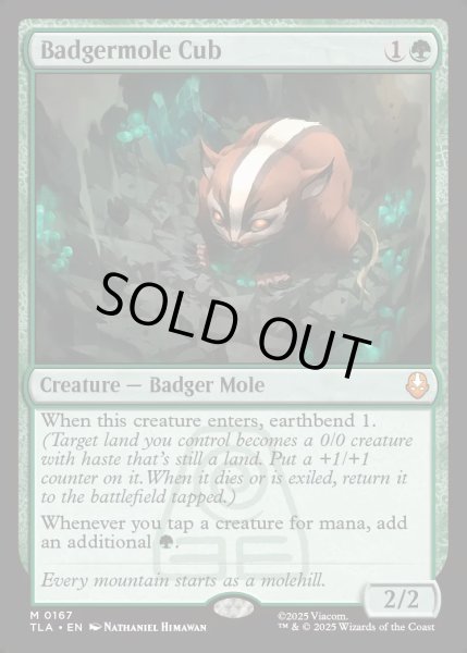 画像1: 【ENG】アナグマモグラの仔/Badgermole Cub[MTG_TLA_0167_M] (1)