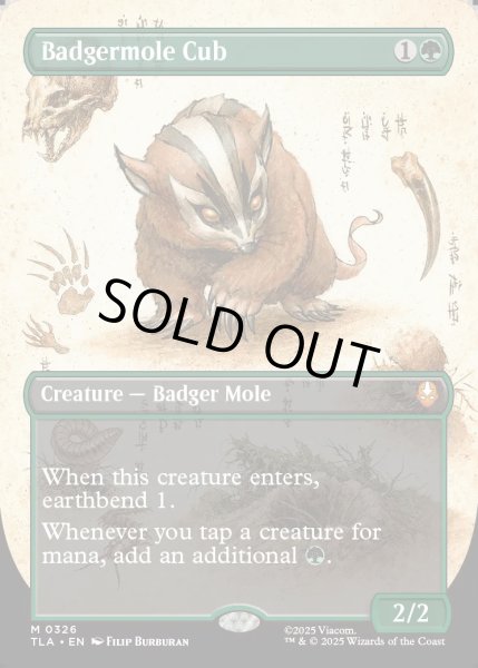 画像1: 【ENG】アナグマモグラの仔/Badgermole Cub[MTG_TLA_0326_M] (1)