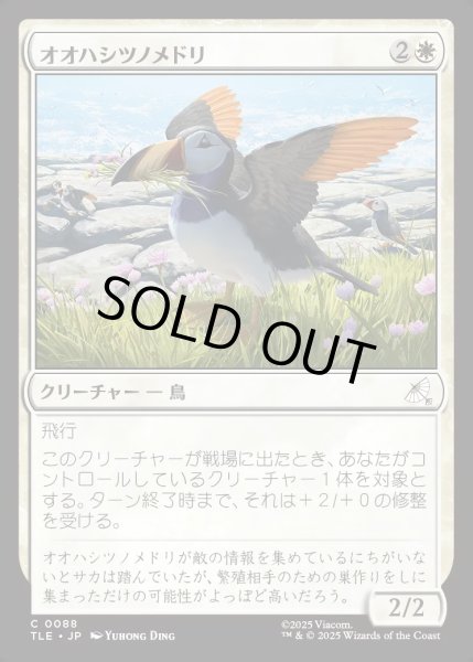 画像1: 【JPN】オオハシツノメドリ/Toucan-Puffin[MTG_TLE_0088_C] (1)