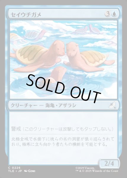 画像1: 【JPN】セイウチガメ/Turtle-Seals[MTG_TLE_0226_C] (1)