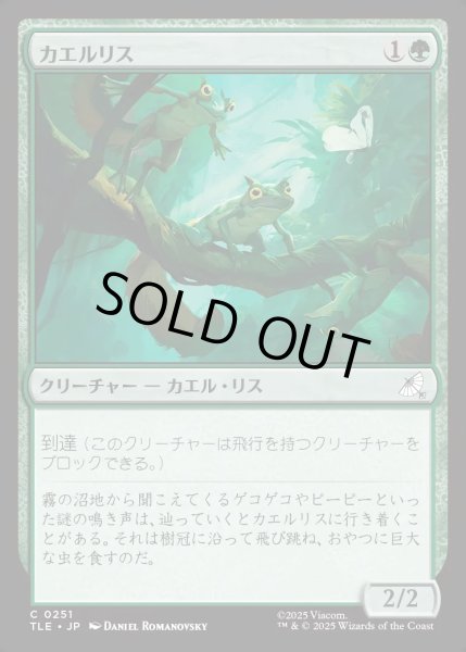 画像1: 【JPN】カエルリス/Frog-Squirrels[MTG_TLE_0251_C] (1)