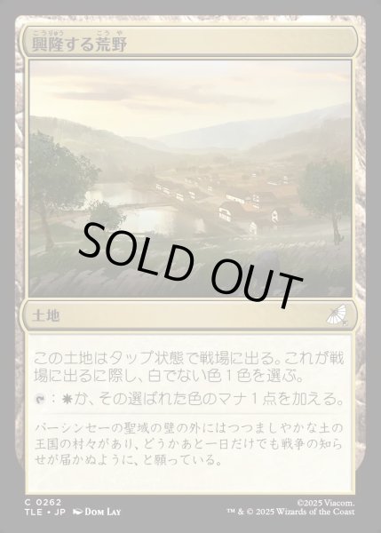 画像1: 【JPN】興隆する荒野/Thriving Heath[MTG_TLE_0262_C] (1)