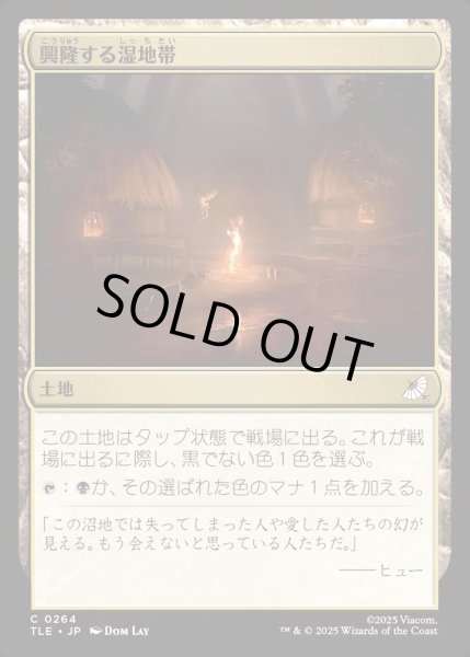 画像1: 【JPN】興隆する湿地帯/Thriving Moor[MTG_TLE_0264_C] (1)