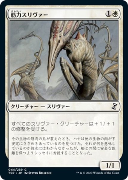 画像1: 【JPN】筋力スリヴァー/Sinew Sliver[MTG_TSR_044C] (1)