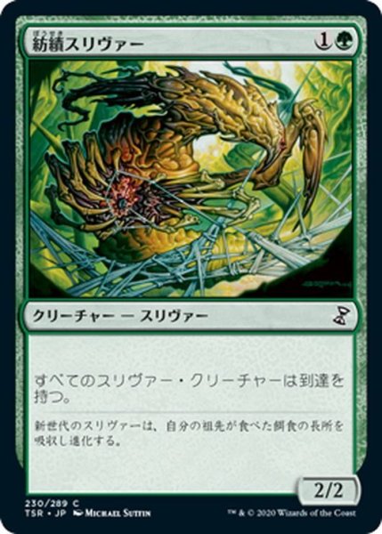 画像1: 【JPN】紡績スリヴァー/Spinneret Sliver[MTG_TSR_230C] (1)