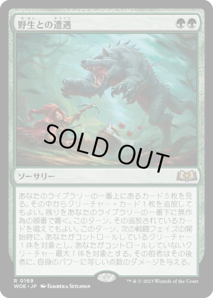画像1: 【JPN】★Foil★野生との遭遇/Feral Encounter[MTG_WOE_0169_R] (1)