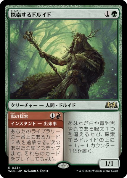 画像1: 【JPN】探索するドルイド/Questing Druid[MTG_WOE_0234_R] (1)