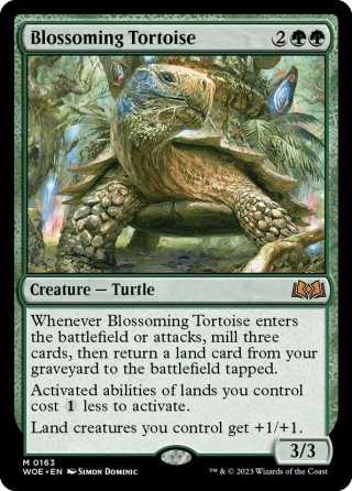 JPN】ウェイストウッドの境界/Wastewood Verge [MTG_DFT_0268_R
