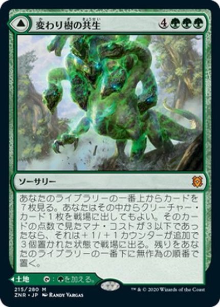 画像1: 【JPN】変わり樹の共生/うねる森、変わり樹/Turntimber Symbiosis/Turntimber, Serpentine Wood[MTG_ZNR_215M] (1)