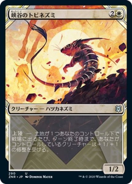 画像1: 【JPN】峡谷のトビネズミ/Canyon Jerboa[MTG_ZNR_290U] (1)